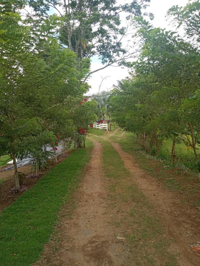 Villa Rancho De Juancho Pereira Exterior foto